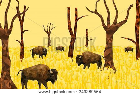 Low Poly Bison On Dry Grass Field With Blue Back Ground,animal Geometric,vector.
