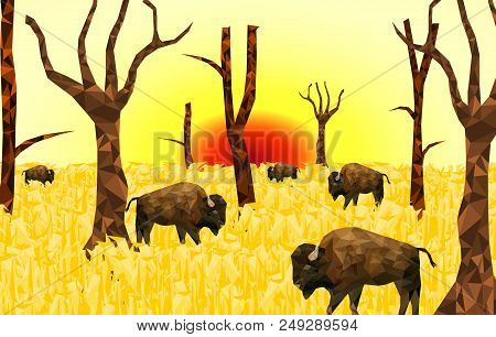 Low Poly Bison On Dry Grass Field With Sunset Back Ground,animal Geometric