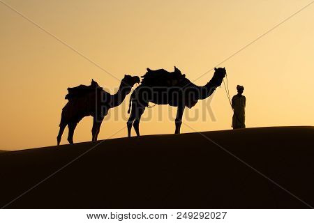 Rajasthan Travel Background - Indian Cameleers (camel Drivers) With Camels Silhouettes In Dunes Of T