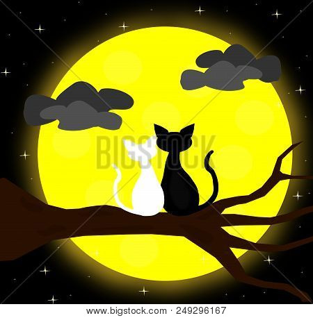 Two Cats In Love Sitting On The Crescent Moon At Night,lover Couple,vector.