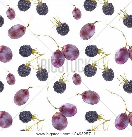 Modern Watercolor Botanical Illustration. Grape And Blackberry. Seamless Pattern, White Backdrop, Pa