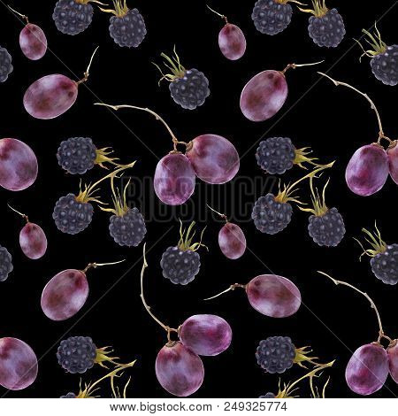 Modern Watercolor Botanical Illustration. Grape And Blackberry. Seamless Pattern, Black Backdrop, Pa