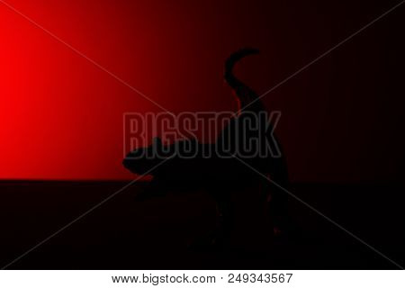 Carnotaurus Shadow With Red Light In Dark