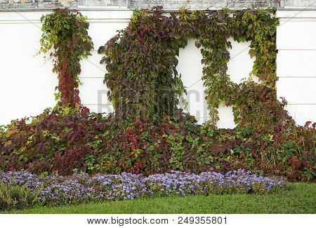 Autumn Hops On The Balustrade In Manor Park