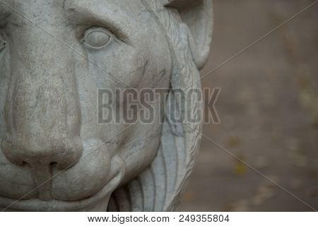Muzzle Of A Marble Lion In The Old Manor