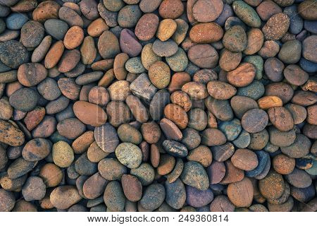 Beautiful Small And Colorful Pebbles And Stone For Decorative And Construction.