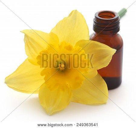 Flower Daffodil With Essential Oil Over White Background