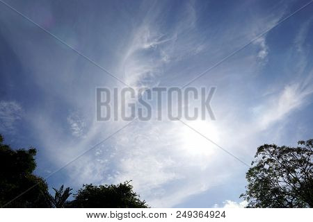 Tree Silhouette On Blue Sky And Cloud Background. Beautiful Nature Blue Sky With Trees, Looking Up B