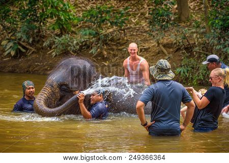 Kuala Gandah, Malaysia - April 8, 2018 : People Bath A Baby Elephant In The Sungai Teris River Locat