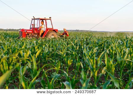 Jasa Tomic, Vojvodina, Serbia - June 3, 2017: Farmers With Tractor Are Cultivating Field With Young 