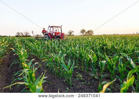 Jasa Tomic, Vojvodina, Serbia - June 3, 2017: Farmers With Tractor Are Cultivating Field With Young 