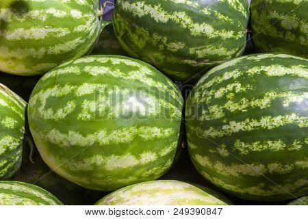Market Counter With Delisios Watermelons.