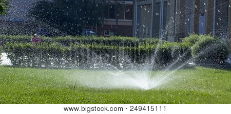 Automatic Sprinkler System Watering The Lawn On A Background Of Green Grass, Close-up