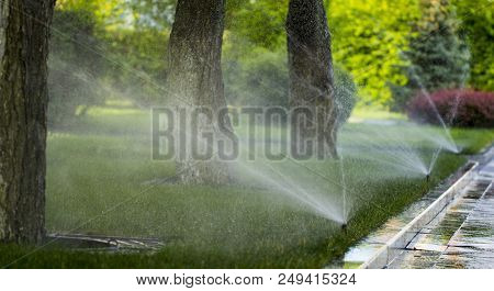 Automatic Sprinkler System Watering The Lawn On A Background Of Green Grass, Close-up