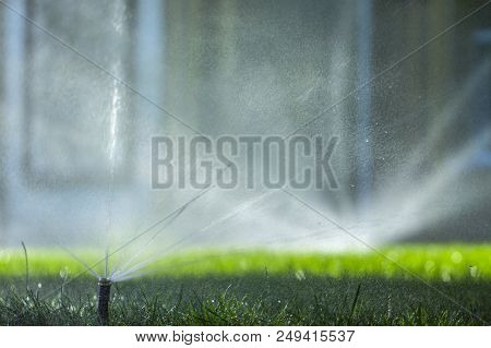 Automatic Sprinkler System Watering The Lawn On A Background Of Green Grass, Close-up