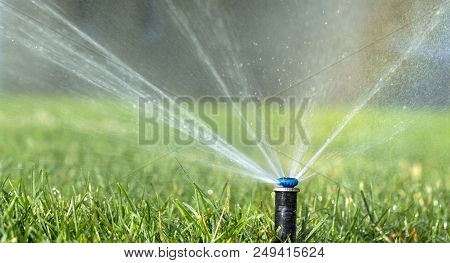 Automatic Sprinkler System Watering The Lawn On A Background Of Green Grass, Close-up