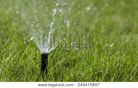 Automatic Sprinkler System Watering The Lawn On A Background Of Green Grass, Close-up