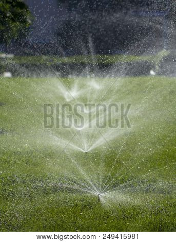 Automatic Sprinkler System Watering The Lawn On A Background Of Green Grass, Close-up