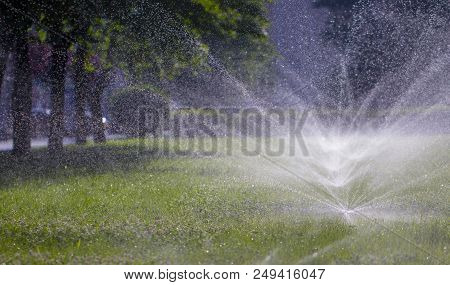 Automatic Sprinkler System Watering The Lawn On A Background Of Green Grass, Close-up