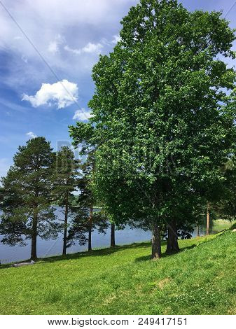 Ferapontovo, July 2018. The Nature Of The Vologda, Very Beautiful In Russia