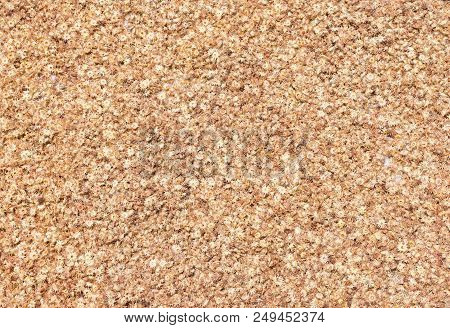 Dried Bullet Wood For Use In The Ingredient Of The Traditional Thai Medicine.