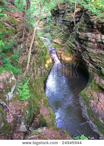 Pewits nido - Wisconsin Dells