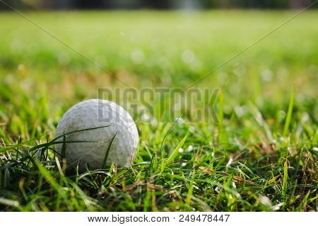 Golf Ball On The Green Background Lighting.