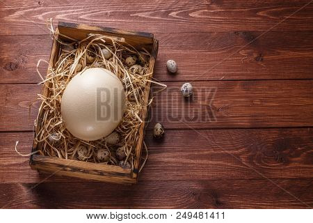 Big Ostrich Egg On Straw Surround By Quail Eggs, Copyspace.