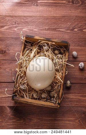 Big Ostrich Egg On Straw Surround By Quail Eggs, Copyspace.
