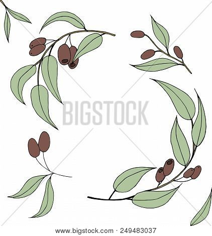 Ripe Black  Olives Isolated On White Background