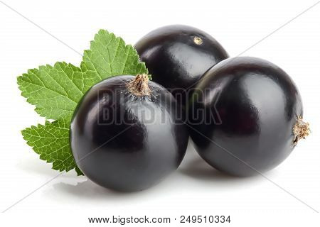 Three Black Currant With Lef Isolated On White Background.