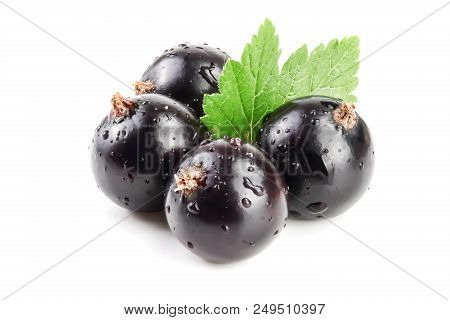 Three Black Currant With Lef Isolated On White Background.