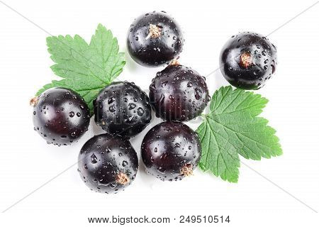 Black Currant With Lef Isolated On White Background. Top View. Flat Lay Pattern.