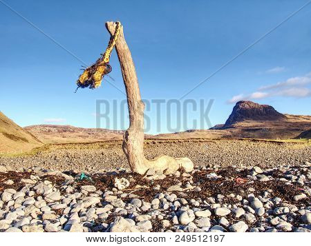 Frayed Marine Rope Drying On An Old Broken Trunk On Bay On West Coast During An Windy Sunset