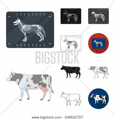Veterinary Clinic Cartoon, Black, Flat, Monochrome, Outline Icons In Set Collection For Design. Trea
