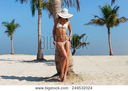 Sexy Beautiful Tanned Woman Relaxing And Sunbathing In Bikini On Sea Background And Palm. Panoramic 