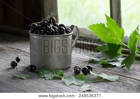 Vintage Mug Full Of Black Currant Berries On Rustic Wooden Table.