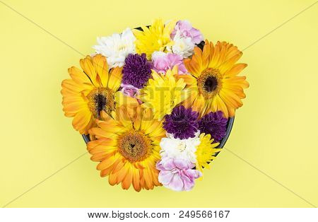 Flower Flat Lay Flower Fream Romantic Concept