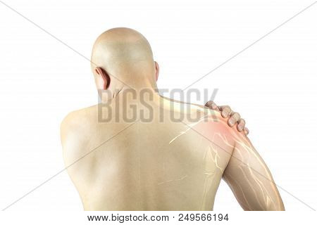 Shoulder Muscle Injury White Background Shoulder Pain