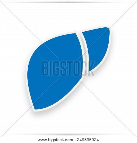 Human Liver  Icon Isolated On White Background. Human Liver Icon For Infographic, Website Or App. Bl