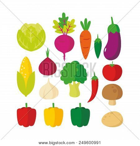 Set Of Vegetables Illustration Vector On White Background