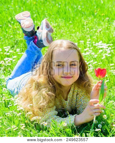 Girl With Long Hair Lying On Grassplot, Grass Background. Spring Mood Concept. Girl On Smiling Face 