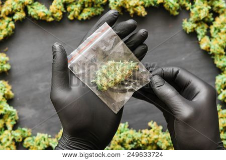 Grinder A Lot Ofx Marijuana, Fresh Buds Of Cannabis Many Weed. Copy Spase Copy-space
