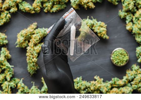 Grinder A Lot Ofx Marijuana, Fresh Buds Of Cannabis Many Weed. Copy Spase Copy-space