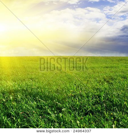 Grönt fält, himlen och solen.