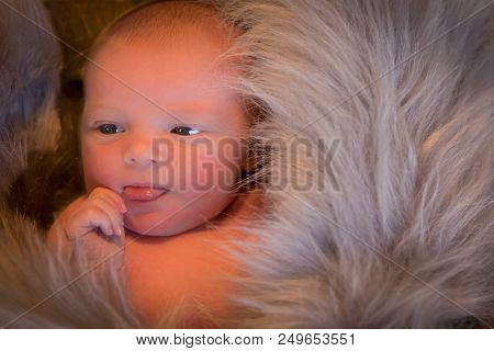 The First Photo Shoot For This Newborn Baby Girl