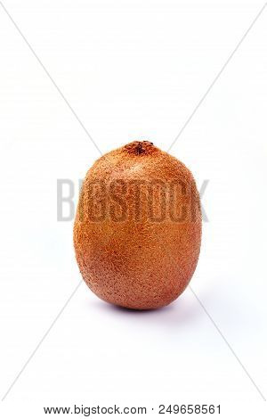 Whole Organic Kiwi Fruit. A Single Kiwi Fruit Against A Grey Background, Vertical Image. Kiwi For Go