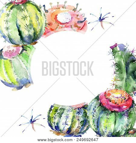Wildflower Green Cactus. Floral Botanical Flower. Frame Border Ornament Square. Aquarelle Wildflower