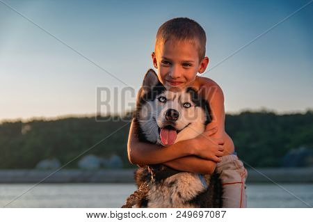 Portrait Boy Hugging Beautiful Siberian Husky. Child Hugs Huske Dog On Summer Evening Beach. Friends
