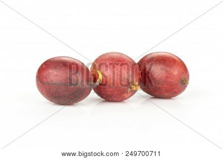 Group Of Three Whole Fresh Red Gooseberry Hinnomaki Variety Ripe Isolated On White